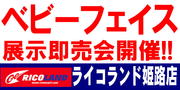 ベビーフェイスイベントバナー.JPG