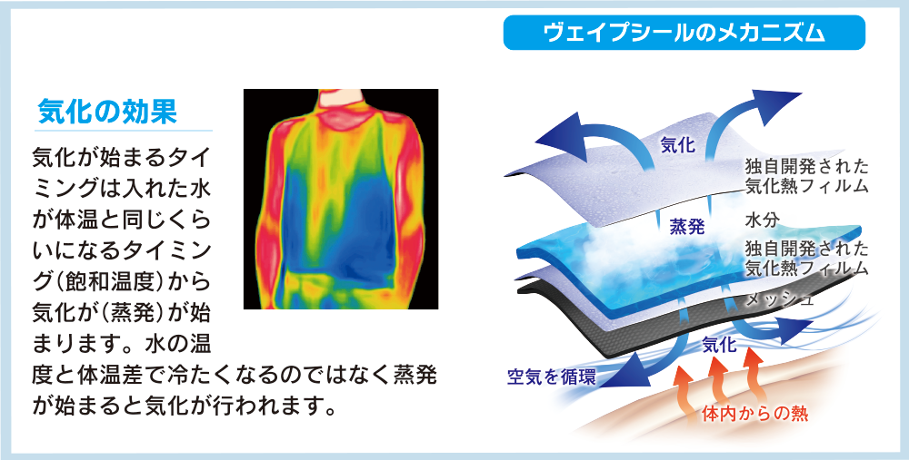 ヴェイパー文面メカニズム.png