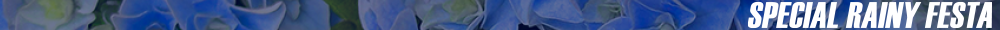 SPECIALRAINYFESTAフッター.png