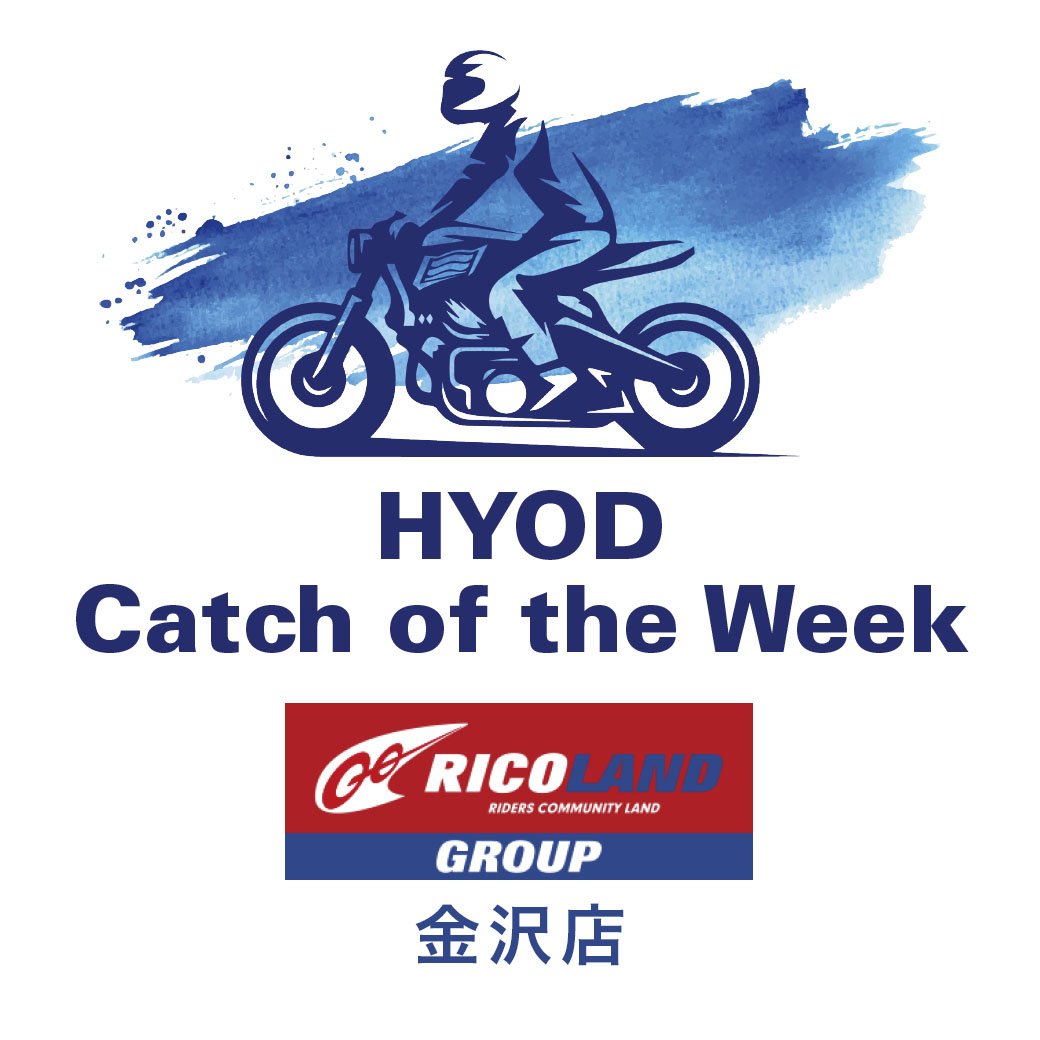 HYOD catch of the week_LINE+.jpg