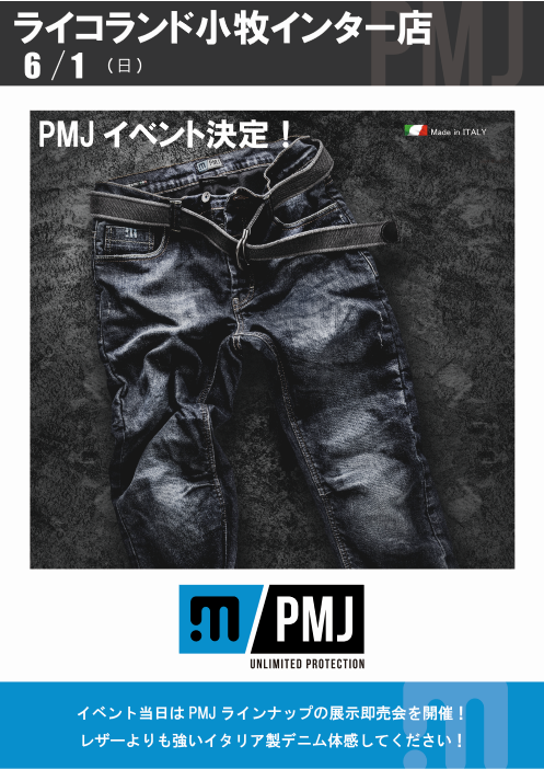 PMJ 6-1.png