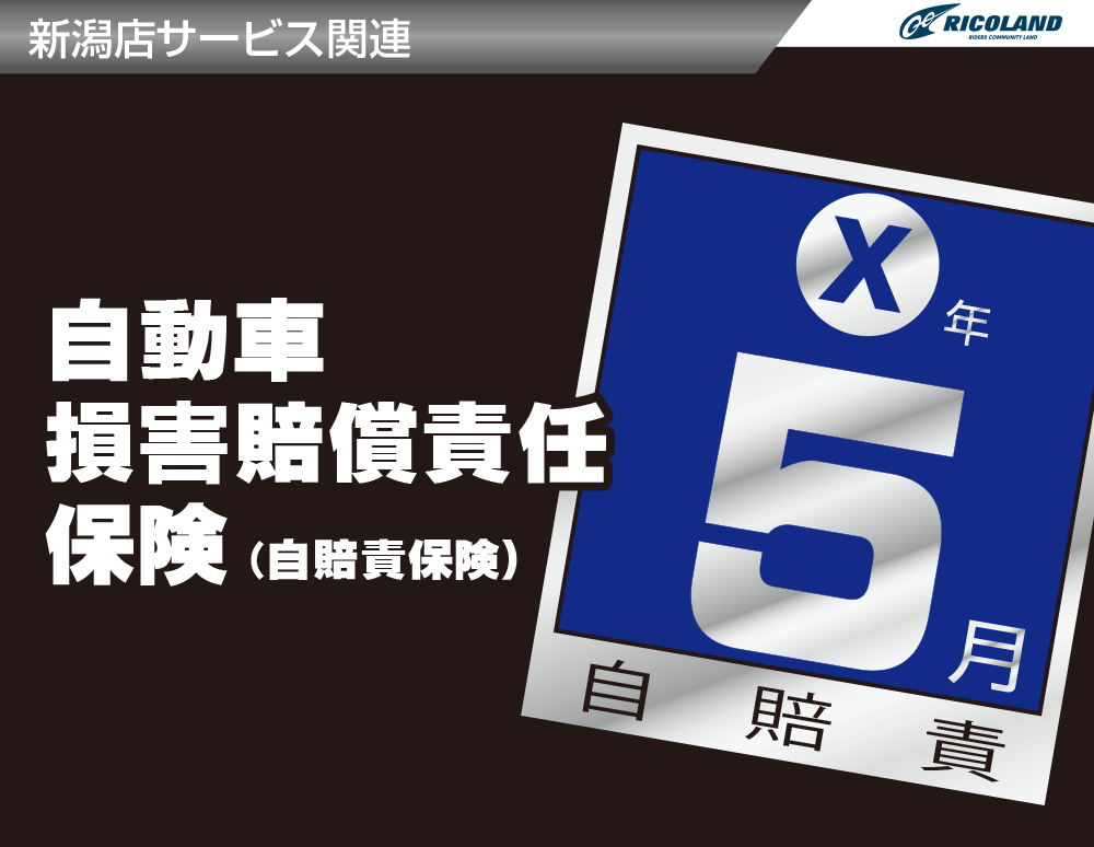 ⑳43サービス②自賠責.png